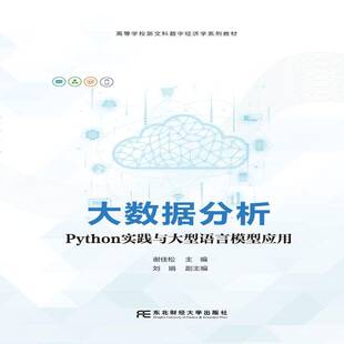 大数据分析:Python实践与大型语言模型应用谢佳松 书籍正版东北财经大学出版社