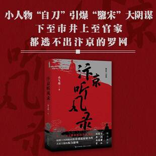 汴京听风录 南飞雁 小说书籍长江文艺出版社