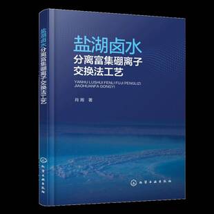 化学工业出版 图书书籍正版 社 肖湘 盐湖卤水分离富集硼离子交换法工艺