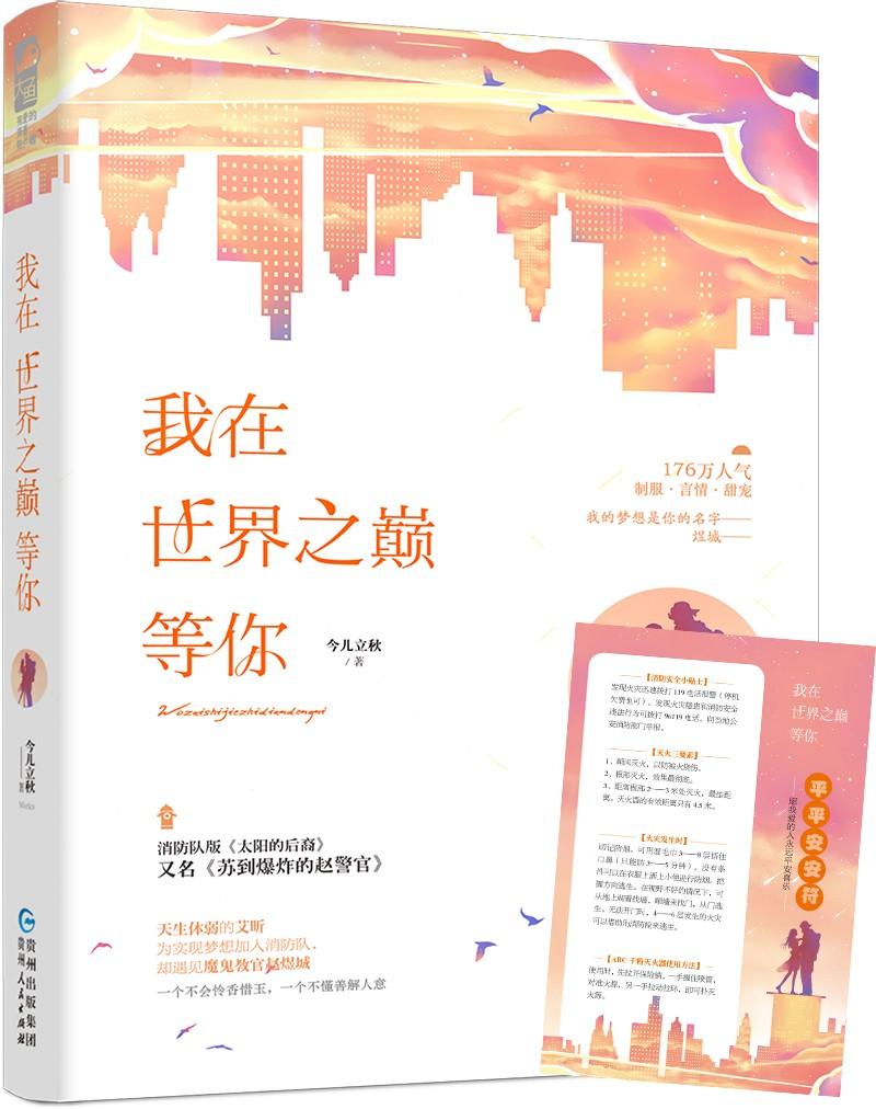 正版 我在世界之巅等你 今儿立秋 逆行者都市制服情感甜宠宠溺青春文学军恋爱情言情小说书籍 大鱼文化系列小说 苏到爆炸的赵警