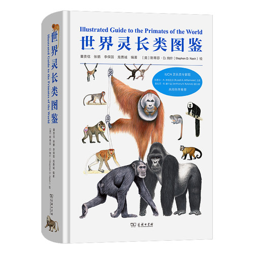 世界灵长类图鉴 董贵信 野生灵长类猴物种分类分布特征栖息环境食性繁殖生存现状科普百科书籍