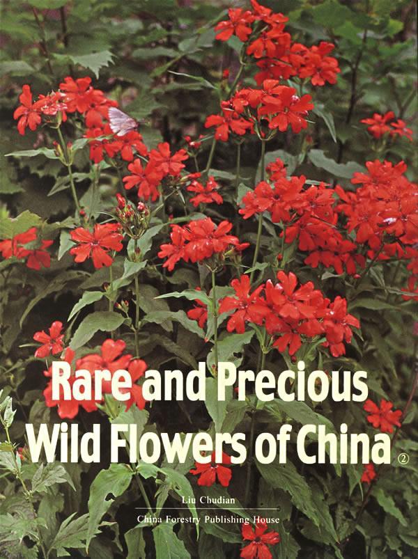正邮 Rare and Precious Wild Flowers of China2刘初钿书店自然科学中国林业出版社书籍 读乐尔畅销书