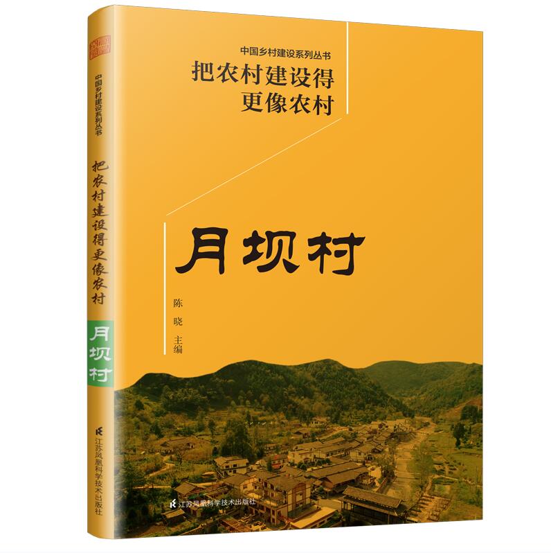 把农村建设得更像农村月坝村中国乡村建设系列丛书陈晓著乡村建设理论农村旅游项目策划书新农村建设特色小镇规划建筑设计书籍