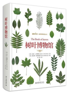 树叶博物馆 博物文库自然博物馆丛书 树叶树种分布范围叶形大小叶序分布生境 科普读物 树叶研究参考书收藏爱好者工具书