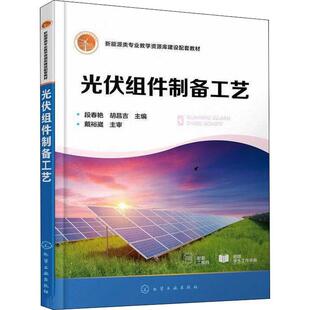 正版光伏组件制备工艺段春艳书店工业技术化学工业出版社书籍 读乐尔畅销书