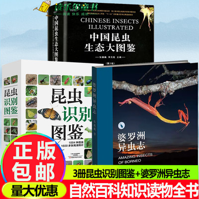 全3册 中国昆虫生态大图鉴+ 昆虫识别图鉴 +婆罗洲异虫志1004种昆虫1600多张高清照片昆虫动物世界昆虫蝴蝶科普百科书婆罗洲原始