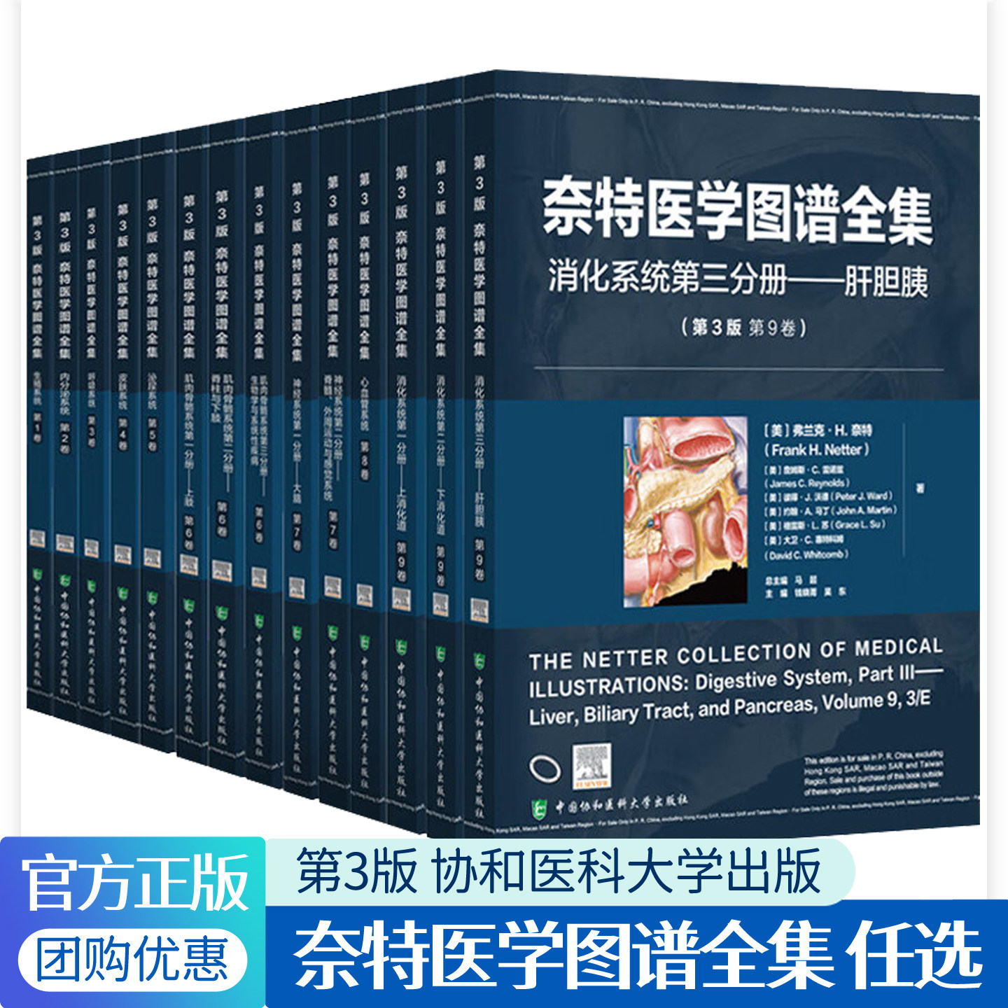 奈特医学图谱全集14册生殖系统内分泌系统呼吸系统皮肤系统泌尿系统肌肉骨骼系统神经系统心血管系统消化系统第3版人体解剖学图谱