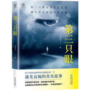 第三只眼 包邮 智绪彪 第三只眼洞穿层层迷雾 正版 现代都市侦探推理悬疑恐怖惊悚犯罪破案小说书籍 奥秘 揭开往生界 大鱼文化