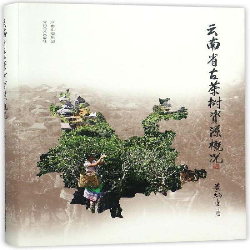 云南省古茶树资源概况 黄炳生 茶树植物资源概况云南普通大众农业、林业书籍云南社
