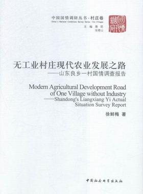 正版无工业村庄现代化农业发展之路:山东良乡一村国情调查报告:Shandong's Liangxi徐鲜梅书店政治中国社会科学书籍 读乐尔畅销书