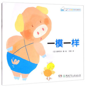 启蒙认知书 正版 宫本忠夫绘 一模一样 湖南少儿 叽里咕噜成长启蒙绘本
