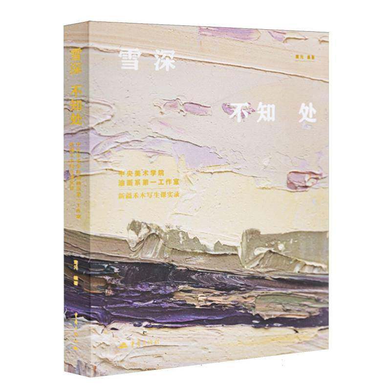 雪深不知处:中央美术学院油画系第一工作室禾木写生课实录 袁元   图书书籍重庆出版社