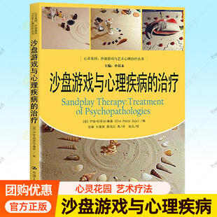 沙盘游戏与心理疾病的治疗 心灵花园沙盘游戏与艺术心理治疗丛 艺术疗法书籍 沙盘游戏过去现在和未来心理咨询师沙盘游戏治疗