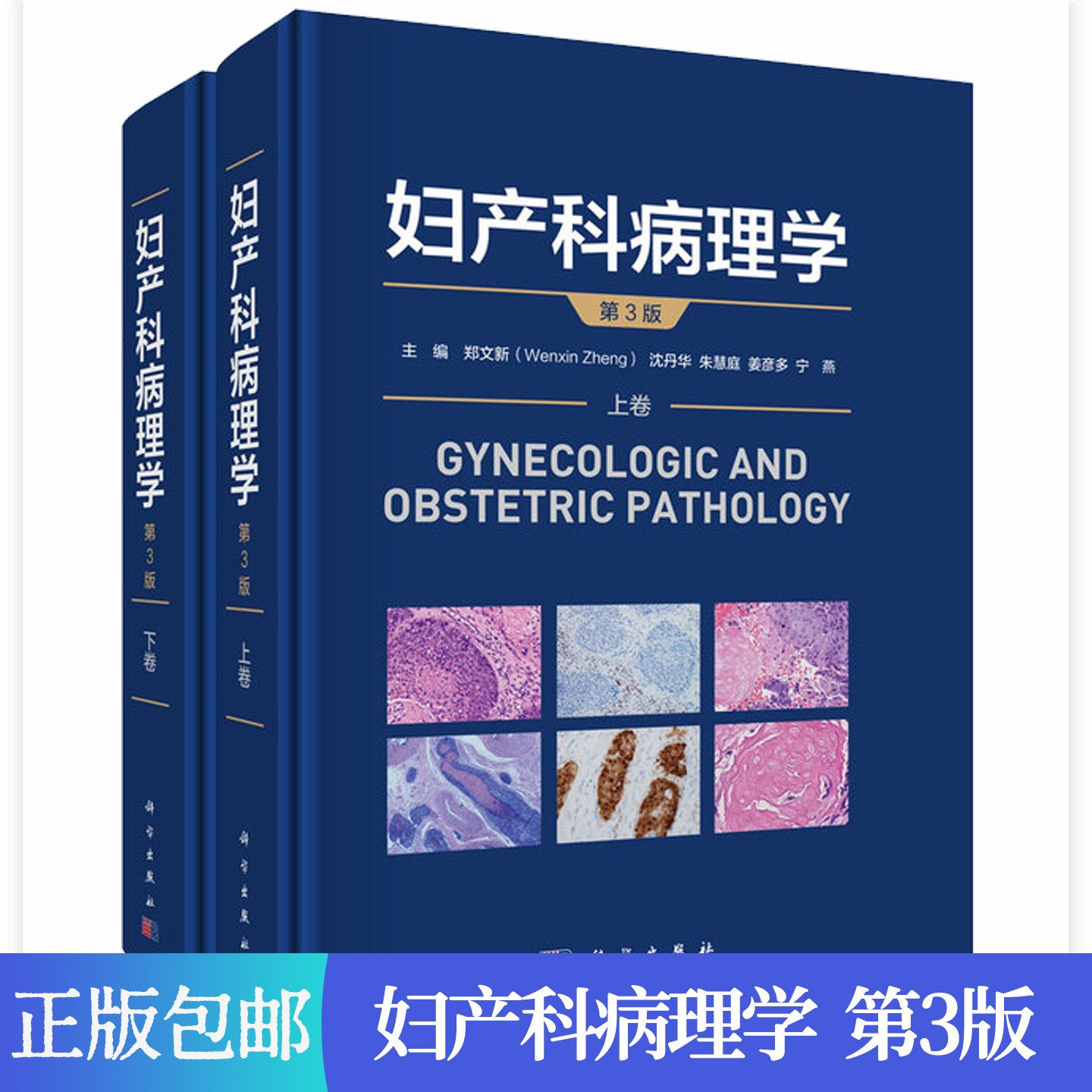 妇产科病理学 郑文新 第3版三版 妇产科疾病诊断女性生殖系统疾病子宫肿瘤分类HPV分类 病理医师妇产临床医师参考医学书科学出版社