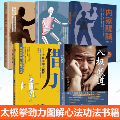 5册 八极武道内家醍醐 内家拳的正确打开方式内家拳几何学武学内劲入门实操指导借力 太极拳劲力图解 心法功法书籍
