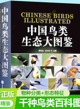 中国鸟类生态大图鉴 收录1069种鸟类分类系统生态形态特征鸟类画谱彩色图谱鸟类百科全书 关于鸟的书观鸟爱好者实用工具书鸟类书籍