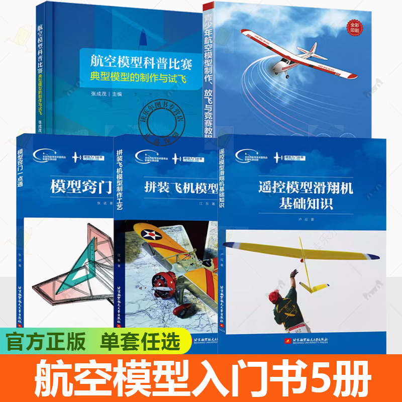 模型入门丛书 拼装飞机模型制作工艺+模型窍门一点通+遥控模型滑翔机基础知识 微小飞机无人机航模发烧友设计制作航模教材书籍
