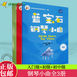 钢琴小曲全3册 钢琴小曲入门级+初级+初中级 儿童钢琴曲谱曲集钢琴简谱练习曲练指法钢琴谱流行曲钢琴初学者入门教程书籍