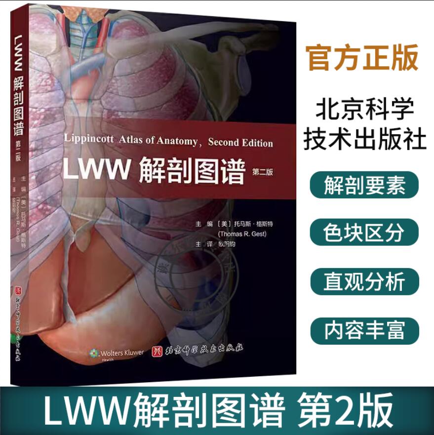 正版包邮 LWW解剖图谱:第二版医学卫生按照表面解剖浅层结构深层结构的逻辑顺序安排插图同时插图兼顾局部解剖学的教学需要
