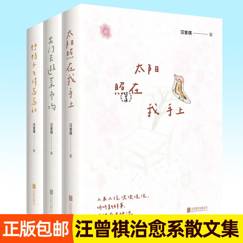 汪曾祺散文精选集全套3册出门去逛菜市场太阳照在我手上野鸭子飞得高高的人间草木西南联大逝水四方食事治愈系作品集随笔文学书籍