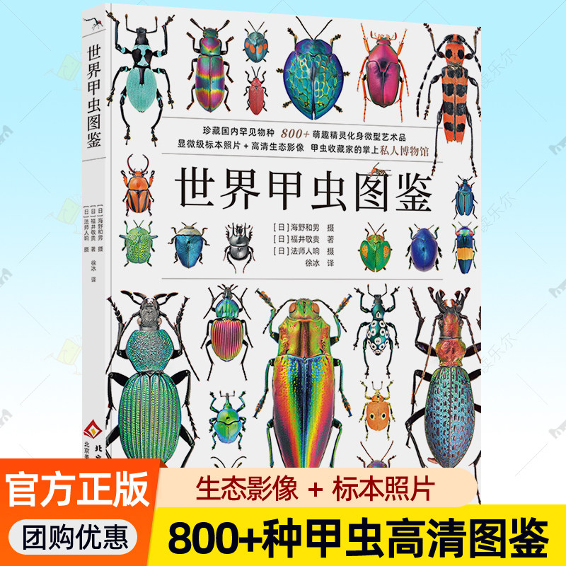 世界甲虫图鉴 全球800+种甲虫标本高清照片生态影像甲虫收藏家掌上私人博物馆关于甲虫的书全知道图谱图册 甲虫百科全书 甲虫书籍