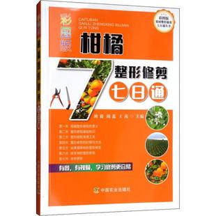 柑橘整形修剪七日通欧毅周蕊橘子树栽培种植技术病虫害诊断用药换盆整形修剪嫁接施肥疏枝疏果病虫害识别技术大 彩图版 书籍 正版