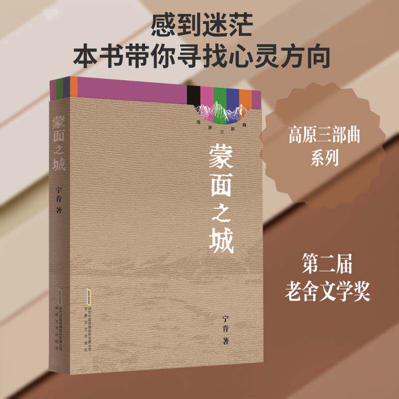 蒙面之城 宁肯   图书书籍安徽文艺出版社