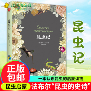 12周岁小学生一二三四五六年级课外阅读经典 昆虫记 儿童6 亨利法布尔 文学故事书目四五六七八年级中小学生课外阅读 法