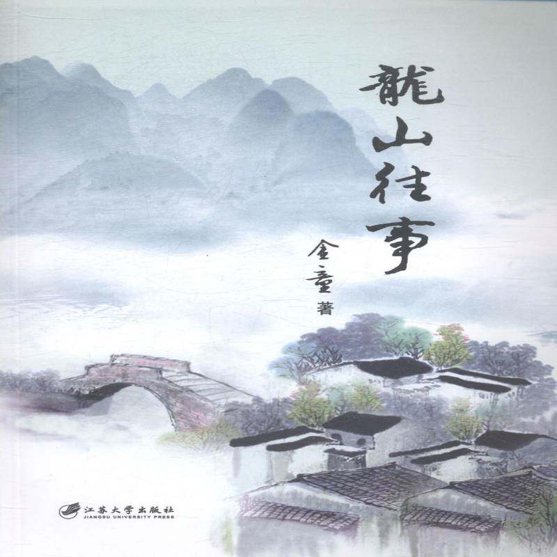 龙山往事 金童 长篇小说中国当代 小说书籍江苏大学出版社
