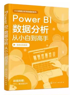 Power BI数据分析从小白到高手 王国平 PowerBI入门数据集成数据处理基础操作教程书籍 Excel数据分析 化学工业出版社