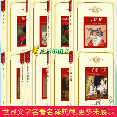 世界文学名著名译典藏全译插图本 童年在人间我的大学嘉莉妹妹爱的教育沉思录忏悔录基督山伯爵羊脂球琥珀名人传八十天环游地球