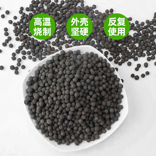 夏臣陶粒砂买就送水草种子