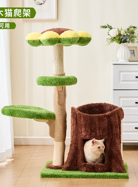 实木树洞不占地猫爬架猫树猫窝玩睡一体四季通用大猫多猫宠物玩具