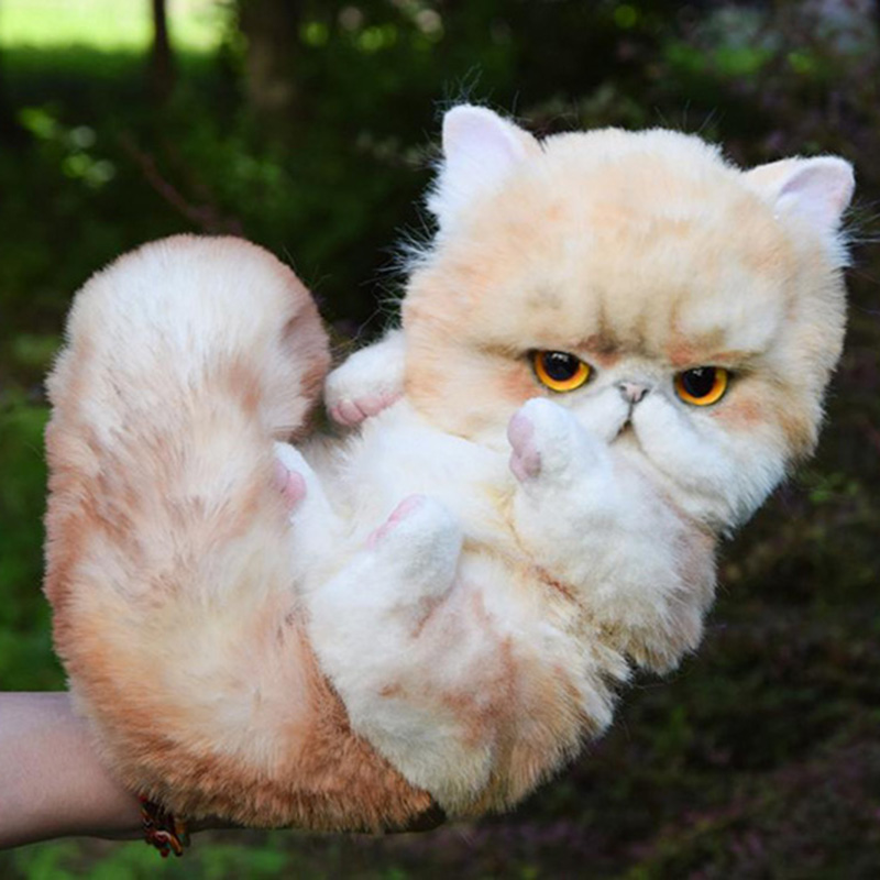 俄罗斯手作异国短毛猫玩具娃娃