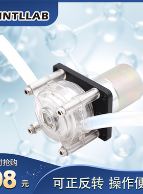 INTLLAB12/24伏 蠕动泵 大流量蠕动泵 微型泵 自吸泵 水泵