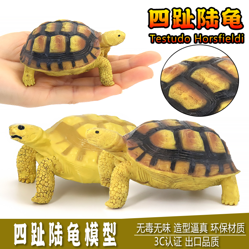 仿真实心四趾陆龟模型玩具