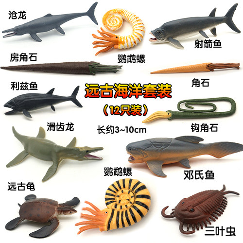 鹦鹉螺塑胶史前模型三叶虫儿童