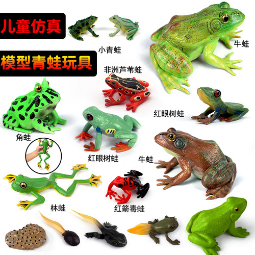 两栖动物青蛙塑胶仿真林蛙认知
