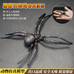 仿真昆虫黑寡妇蜘蛛玩具模型塑胶毒狼蛛整蛊吓人搞怪科教儿童礼物