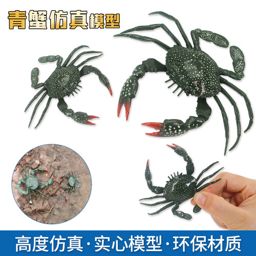 实心海洋动物塑胶柔韧大青蟹模型