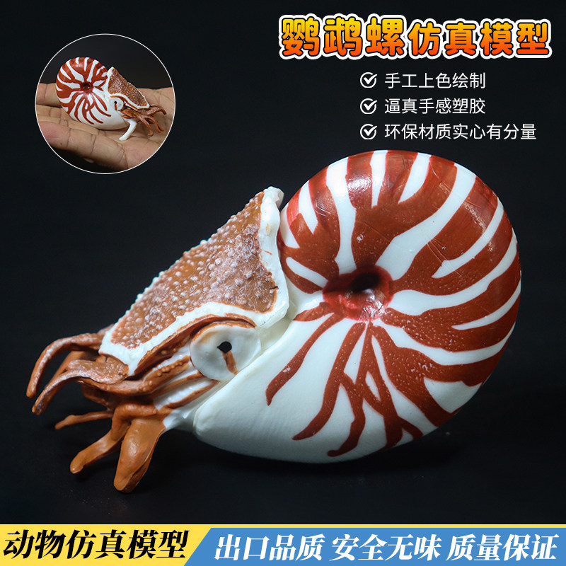 仿真远古海洋生物鹦鹉螺三叶虫菊石模型鲎玩具塑胶儿童科教育礼物