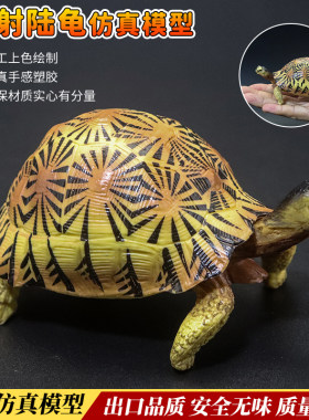 仿真实心辐射陆龟模型玩具象龟