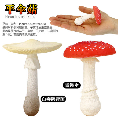 蘑菇场景模型红伞伞玩具装饰仿真
