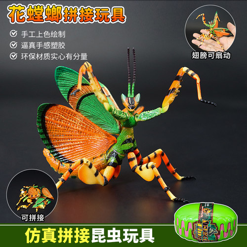 仿真拼插昆虫标本兰花螳螂模型