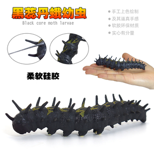 硅胶仿真毛毛虫模型黑蕊丹蛾幼虫儿童玩具动物昆虫蚕宝宝认知礼物