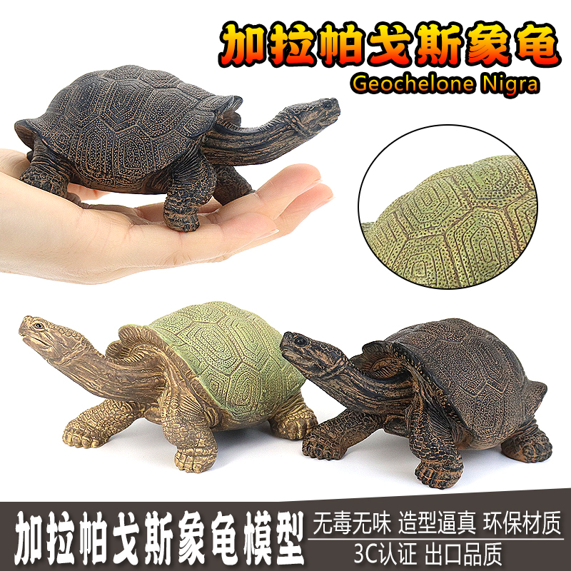 仿真实心陆龟模型玩具加拉帕戈斯