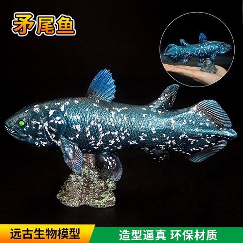 史前海洋动物矛尾鱼模型摆件玩具