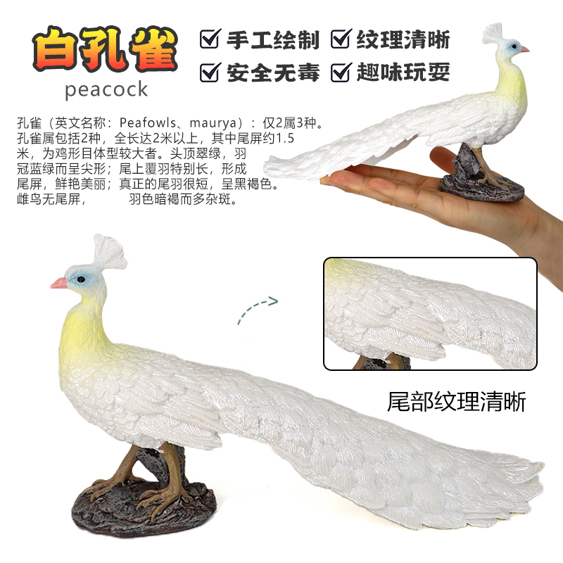 仿真模型塑胶孔雀摆件玩具实心