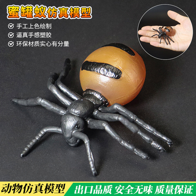 蜜罐蚁红火蚁模型蚂蚁玩具