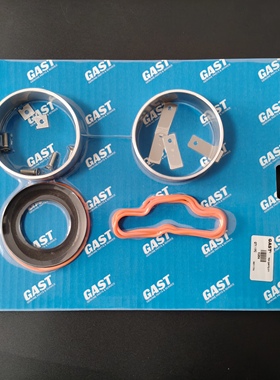 热电赛默飞5014i5030i外置泵维修包组件gast气泵进口，K964泵套件